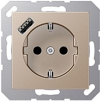 Розетка с заземлением +1хUSB тип A без рамки Jung A creation 1-м. шампань картинка